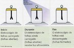 Consiste na emisso de eltrons pela matria sob a ao da luz. Num eletroscpio de folha a luz provoca a emisso de eltrons pela superfcie da lmina. Quando a lmina est carregada negativamente, repele os eltrons e o eletroscpio descarrega-se. Quando est carregada positivamente, os eltrons emitidos sob a ao da luz so atrados e voltam ao eletroscpio.  <br /><br />  Palavras-chave: Luz, emisso, eltrons, energia, cintica, Maxwell.