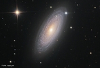 Galxia espiral NGC 2841 est localizada ao norte da constelao da Ursa Maior. <br /><br />  Palavras-chave: Astronomia, movimento, gravitao universal, galxia.