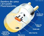 As lmpadas fluorescentes possuem um par de eletrodos em cada extremidade cuja funo  pr-aquecer seu interior para reduzir a tenso eltrica necessria  ionizao. Apresenta um tubo de vidro coberto com um material  base de fsforo que, quando excitado com radiao ultravioleta gerada pela ionizao dos gases produz luz visvel. Internamente so carregadas com gases inertes a baixa presso. <br /><br />  Palavras-chave:  Economia, luz, energia, eletromagntica, calor, eletrodos, lmpadas.