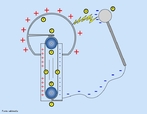 1- Esfera metálica oca com cargas positivas. 2- Eletrodo conectado a esfera, uma escova faz o contato entre o eletrodo e a cinta. 3- Polia superior. 4- Lado da cinta com cargas positivas. 5- Lado oposto da cinta com cargas negativas. 6- Polia inferior. 7- Eletrodo inferior (chão) 8- Esfera com cargas negativas usada para descarregar a esfera principal. 9- Faísca produzida pela diferença de potencial. <br /><br />  Palavras-chave:  Eletricidade e Magnetismo, carga elétrica, volt, Van de Graaff, gerador. 