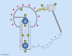 1- Esfera metlica oca com cargas positivas. 2- Eletrodo conectado a esfera, uma escova faz o contato entre o eletrodo e a cinta. 3- Polia superior. 4- Lado da cinta com cargas positivas. 5- Lado oposto da cinta com cargas negativas. 6- Polia inferior. 7- Eletrodo inferior (cho) 8- Esfera com cargas negativas usada para descarregar a esfera principal. 9- Fasca produzida pela diferena de potencial. <br /><br />  Palavras-chave:  Eletricidade e Magnetismo, carga eltrica, volt, Van de Graaff, gerador. 