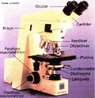 Aparelho ptico que forma imagens ampliadas de objetos pequenos. O microscpio composto utiliza duas lentes ou dois sistemas de lentes, de maneira que o segundo sistema modifica e amplia a imagem real formada pelo primeiro sistema. As lentes podem situar-se nos extremos de um tubo que por controle mecnico pode deslocar-se em relao ao objeto que se pretende estudar. Um condensador de luz e um espelho, que reflete uma fonte luminosa, proporcionam a iluminao adequada do objeto. <br /><br />  Palavras-chave:  tica, lentes, objetivas, imagens, foco, micro-organismos.