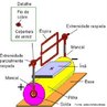  uma mquina que transforma energia eltrica em energia mecnica, realizada por um gerador ou por um dnamo. <br /><br />  Palavras-chave: Eletromagnetismo. eletricidade. energia. corrente. im.