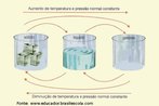 As substncias podem mudar de estado fsico (slido, lquido, gasoso ) e isso depende principalmente das condies de presso e temperatura a que esto expostas.  <br /><br /> Palavras-chave: Fuso, vaporizao, liquefao, solidificao, sublimao, presso, temperatura. 