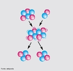  qualquer reao em que ocorra modificao de um ou mais ncleos atmicos, onde dois ou mais tomos se unem ou um tomo sofre fisso nuclear. <br /><br /> Palavras-chave: Fsica Atmica, fsica nuclear, eletromagnetismo.