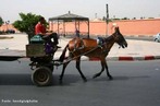 Em uma situao como essa podemos analisar os objetos separadamente. Pela 3 lei de Newton, sobre o cavalo atuam foras exercidas pelo cho e pela carroa. Sobre a carroa atuam as foras do cavalo e do cho. Uma vez que o cavalo pode exercer uma fora maior do que a carroa exerce sobre ele, a fora resultante permite que ocorra o deslocamento do conjunto. <br /><br /> Palavras-chave: Movimento, atrito, massa, fora, Leis de Newtom, 3 lei de Newton. 