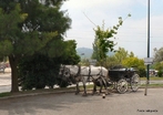 Em uma situao como essa podemos analisar os objetos separadamente. Pela 3 lei de Newton, sobre o cavalo atuam foras exercidas pelo cho e pela carroa. Sobre a carroa atuam as foras do cavalo e do cho. Uma vez que o cavalo pode exercer uma fora maior do que a carroa exerce sobre ele, a fora resultante permite que ocorra o deslocamento do conjunto. <br /><br /> Palavras-chave: Movimento, atrito, massa, fora, Leis de Newtom, 3 lei de Newton. 