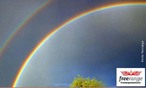 As cores do arco-íris podem ser vistas quando a luz do sol é dispersada por milhões de gotas de água da chuva, elas agem como prismas e tornam visíveis as cores que compõem os anéis coloridos do arco-íris. <br /><br /> Palavras-chave: Óptica, luz, prisma, dispersão, espectro de cores, ondas, arco-íris.