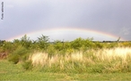 As cores do arco-ris podem ser vistas quando a luz do sol  dispersada por milhes de gotas de gua da chuva, elas agem como prismas e tornam visveis as cores que compem os anis coloridos do arco-ris. <br /><br /> Palavras-chave: ptica, luz, prisma, disperso, espectro de cores, ondas, arco-ris.