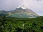 As cores do arco-ris podem ser vistas quando a luz do sol  dispersada por milhes de gotas de gua da chuva, elas agem como prismas e tornam visveis as cores que compem os anis coloridos do arco-ris. <br /><br /> Palavras-chave: ptica, luz, prisma, disperso, espectro de cores, ondas, arco-ris.