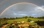 As cores do arco-ris podem ser vistas quando a luz do sol  dispersada por milhes de gotas de gua da chuva, elas agem como prismas e tornam visveis as cores que compem os anis coloridos do arco-ris. <br /><br /> Palavras-chave: ptica, luz, prisma, disperso, espectro de cores, ondas, arco-ris.